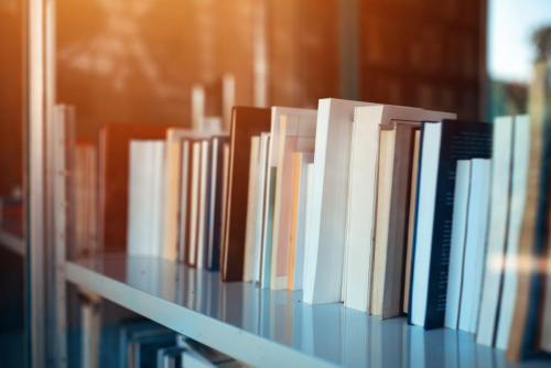 Books on library shelf through window